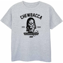 Star Wars - T-shirt COLLEGIATE - Fille (Gris chiné)