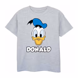 Disney - T-shirt - Garçon (Gris chiné)