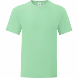 Fruit of the Loom - T-shirt ICONIC - Homme (Vert pâle)