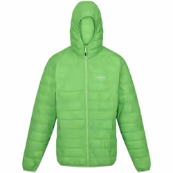Regatta - Veste HILLPACK - Homme (Vert jasmin)