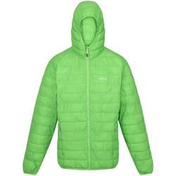Regatta - Veste HILLPACK - Homme (Vert jasmin)