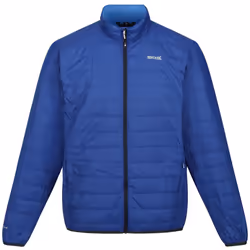Regatta - Doudoune HILLPACK - Homme (Bleu roi / Bleu foncé)