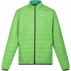 Regatta - Doudoune HILLPACK - Homme (Vert jasmin / Vert des champs)
