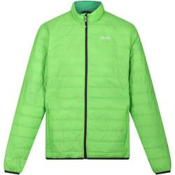 Regatta - Doudoune HILLPACK - Homme (Vert jasmin / Vert des champs)