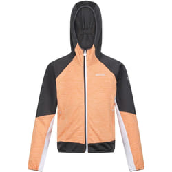 Regatta - Veste softshell PRENTON - Enfant (Orange clair / Gris phoque)