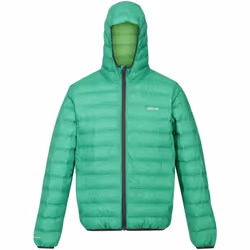 Regatta - Veste matelassée MARIZION - Homme (Vert des champs / Vert jasmin)