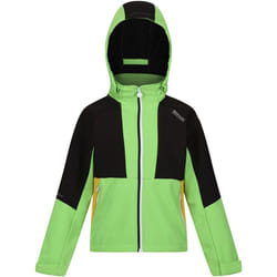 Regatta - Veste softshell HAYDENBURY - Enfant (Vert jasmin / Noir)