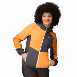 Regatta - Veste à capuche TRUTTON - Femme (Orange clair / Gris phoque)