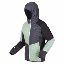 Regatta - Veste à capuche TRUTTON - Femme (Menthe douce / Gris phoque)