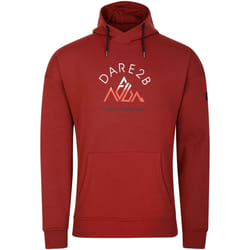 Dare 2B - Sweat à capuche DISTINCTLY - Homme (Rouge brun)