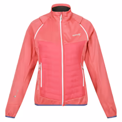 Regatta - Veste hybride STEREN - Femme (Rose)