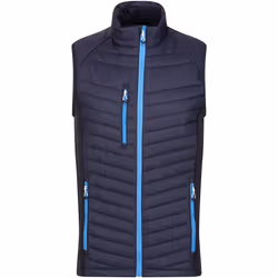 Regatta - Veste sans manches NAVIGATE - Homme (Bleu marine / Bleu)