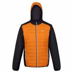 Regatta - Veste matelassée TRUTTON - Homme (Orange / Cendre)