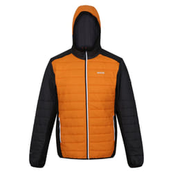 Regatta - Veste matelassée TRUTTON - Homme (Orange / Cendre)