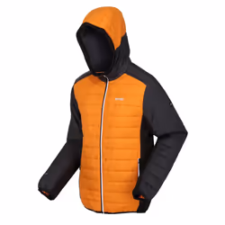 Regatta - Veste matelassée TRUTTON - Homme (Orange / Cendre)