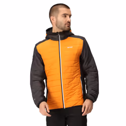 Regatta - Veste matelassée TRUTTON - Homme (Orange / Cendre)