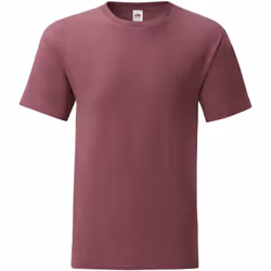 Fruit Of The Loom - T-shirt manches courtes ICONIC - Homme (Bordeaux Chiné)