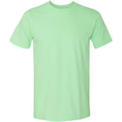 Gildan - T-shirt manches courtes - Homme (Vert menthe)