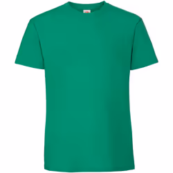 Fruit of the Loom - T-shirt ICONIC PREMIUM - Homme (Vert)