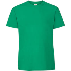 Fruit of the Loom - T-shirt ICONIC PREMIUM - Homme (Vert)