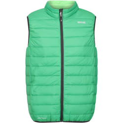 Regatta - Veste sans manches MARIZION - Homme (Vert des champs / Vert jasmin)