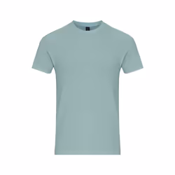 Gildan - T-shirt - Adulte (Turquoise pâle)