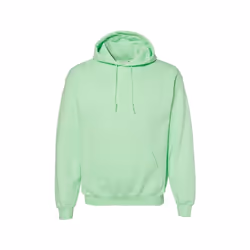 Gildan - Sweat à capuche - Adulte (Menthe)