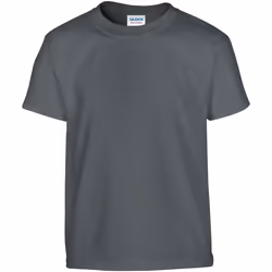 Gildan - T-shirt - Enfant (Charbon) - 12/13 ans
