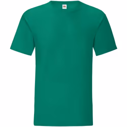 Fruit of the Loom - T-shirt ICONIC - Homme (Vert chiné)
