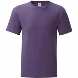 Fruit of the Loom - T-shirt ICONIC - Homme (Violet chiné)