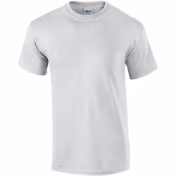 Gildan - T-shirt - Homme (Cendre)