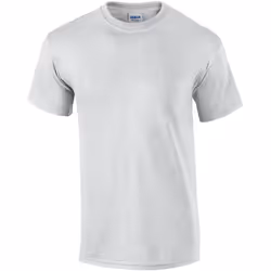 Gildan - T-shirt - Homme (Cendre)