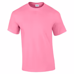Gildan - T-shirt - Homme (Violet fuchsia)