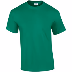 Gildan - T-shirt - Homme (Vert)