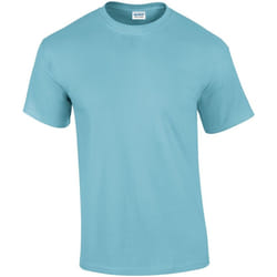 Gildan - T-shirt - Homme (Bleu ciel)