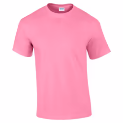 Gildan - T-shirt - Homme (Violet fuchsia)