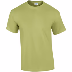 Gildan - T-shirt - Homme (Vert pistache)