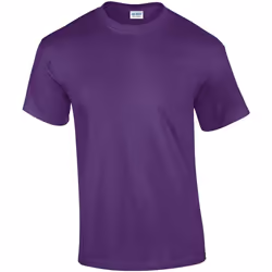 Gildan - T-shirt - Homme (Violet)