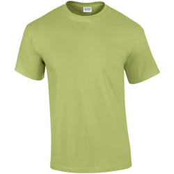 Gildan - T-shirt - Homme (Vert pistache)
