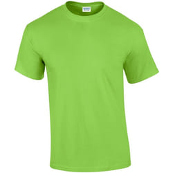 Gildan - T-shirt - Homme (Vert clair)
