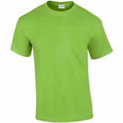 Gildan - T-shirt - Homme (Vert clair)