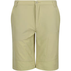 Regatta - Short de marche HIGHTON - Homme (Beige)