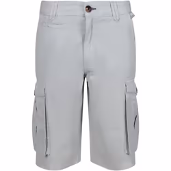 Regatta - Short cargo SHOREBAY - Homme (Gris argenté)