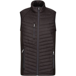 Regatta - Veste sans manches NAVIGATE - Homme (Noir / Gris phoque)