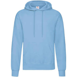 Fruit Of The Loom - Sweat à capuche - Adulte (Bleu ciel)