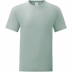Fruit of the Loom - T-shirt ICONIC - Homme (Vert de gris)