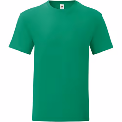 Fruit of the Loom - T-shirt ICONIC - Homme (Vert kelly)