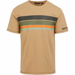 Regatta - T-shirt RAYONNER - Homme (Avoine)