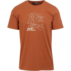 Regatta - T-shirt CLINE - Homme (Terre cuite)