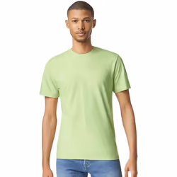 Gildan - T-shirt manches courtes - Homme (Vert pistache)